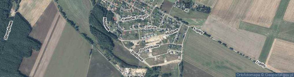 Zdjęcie satelitarne Miodowa ul.